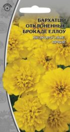 Бархатцы отклоненные «Брокаде Еллоу»