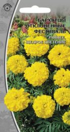 Бархатцы отклоненные «Фестиваль»