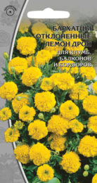 Бархатцы отклоненные «Лемон дроп»