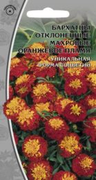 Бархатцы отклоненные махровые «Оранжевое пламя»