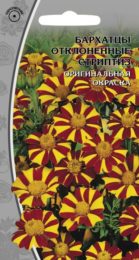 Бархатцы отклоненные «Стриптиз»