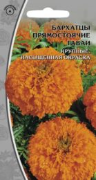 Бархатцы прямостоячие «Гаваи»