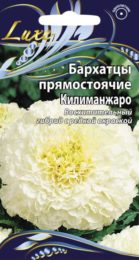 Бархатцы прямостоячие «Килиманжаро»