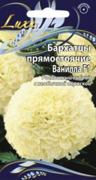 Бархатцы прямостоячие «Ванилла F1»