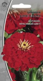 Цинния «Алое пламя»