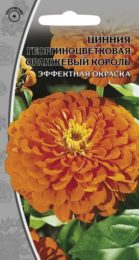 Цинния георгиноцветковая «Оранжевый король»