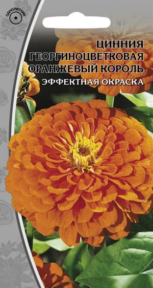 Цинния георгиноцветковая «Оранжевый король»