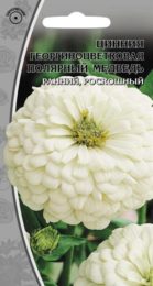 Цинния георгиноцветковая «Полярный медведь»