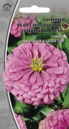 Цинния георгиновидная «Лунный камень»