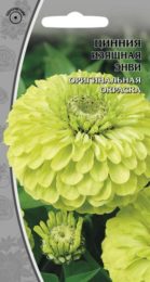 Цинния изящная «Энви»