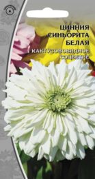 Цинния «Синьорита» белая