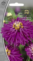 Цинния «Синьорита» лиловая