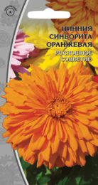 Цинния «Синьорита оранжевая»