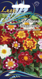 Георгина «Денди» смесь