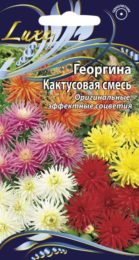 Георгина «Кактусовая смесь»