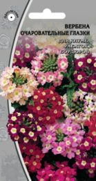 Вербена «Очаровательные глазки»