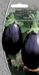 Баклажан «Черный красавец»