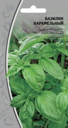 Базилик «Карамельный»