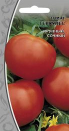 Томат «Геркулес»