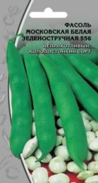 Фасоль «Московская белая зеленостручная 556»