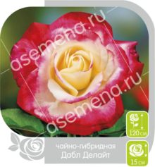 Дабл Делайт