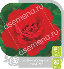 Секси Ред