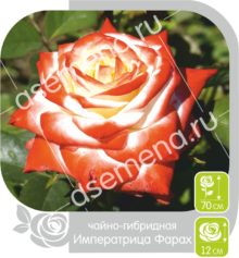 Императрица Фарах