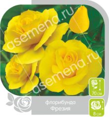 Фрезия