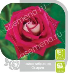 Осирия