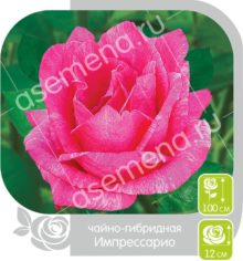 Импрессарио