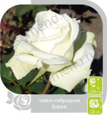 Боинг