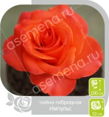 Импульс