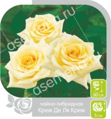 Крем де Ля Крем