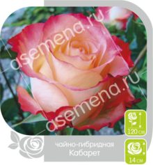 Кабарет