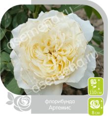 Артемис