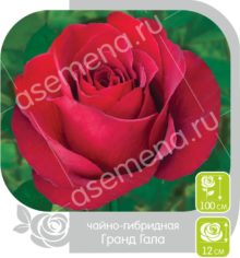 Гранд Гала