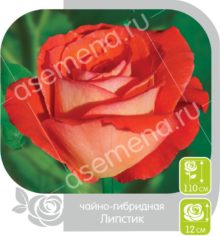 Липстик