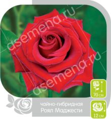 Роял Маджести