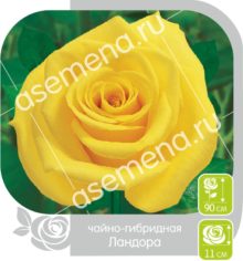 Ландора