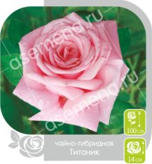 Титаник