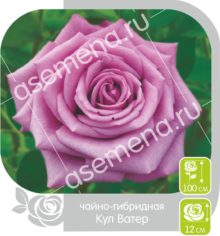 Кул Ватер