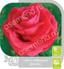 Даллас