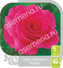 Равель