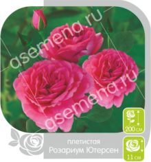 Розариум Ютерсен