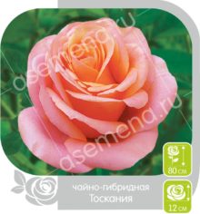 Тоскания