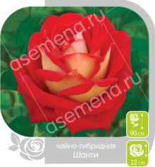 Шанти