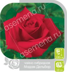 Мадам Дельбар