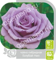 Голубой Нил