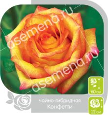 Конфетти