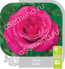 ХиХо